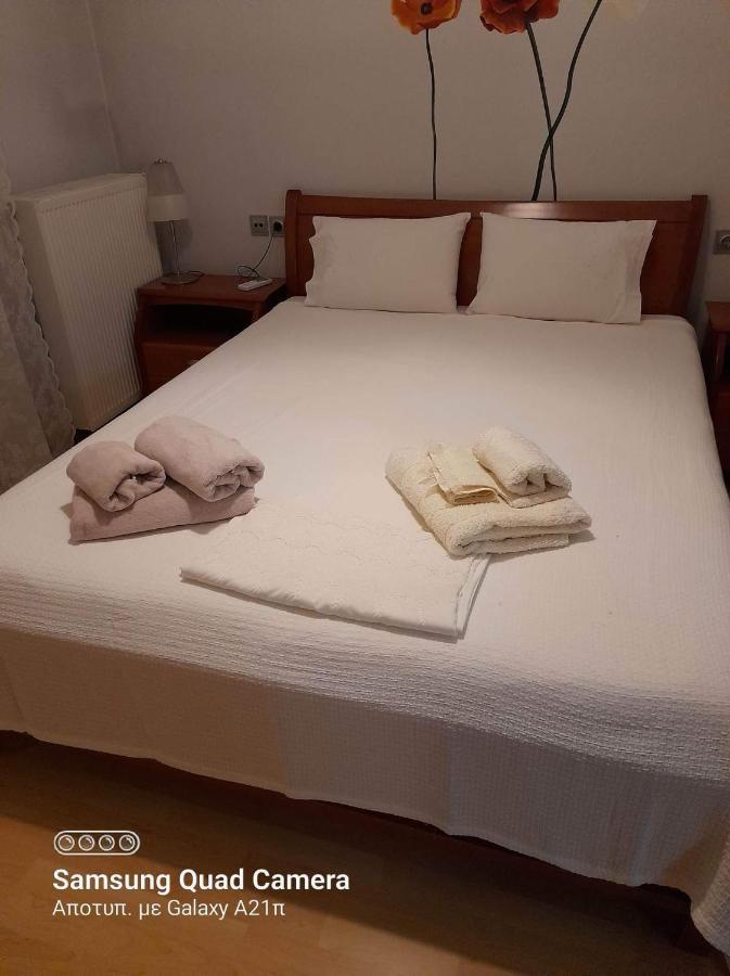 Museum Apartment 沃洛斯 外观 照片
