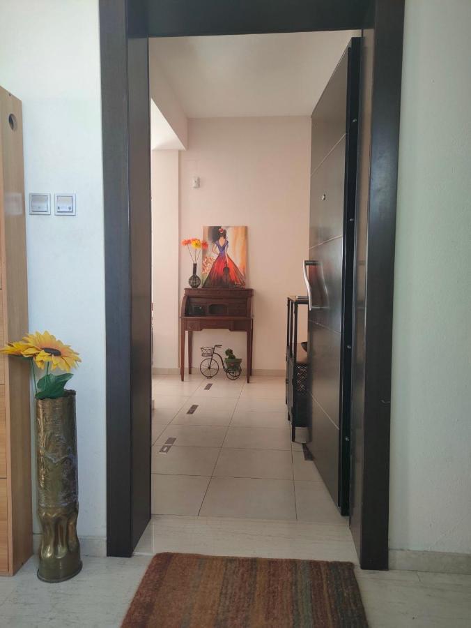 Museum Apartment 沃洛斯 外观 照片